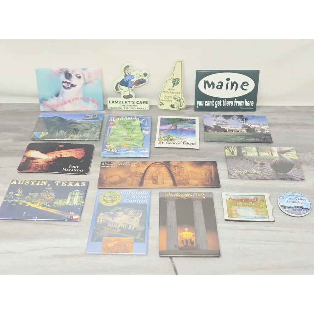 Vintage Refrigerator Magnet Lot of 16 States Souvenirs Tourist Novelty Funny